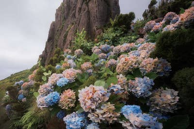 Azores Photo Tour: São Miguel and Flores Island - day 6