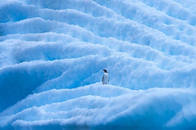 Red Sails in Antarctica Photography Expedition with Daniel Kordan - day 12