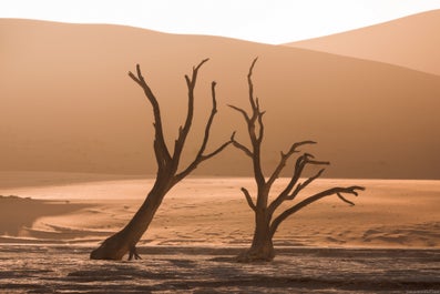 12 Day Namibia Photo Tour: A Photographic Journey Through Desert Wonders - day 4