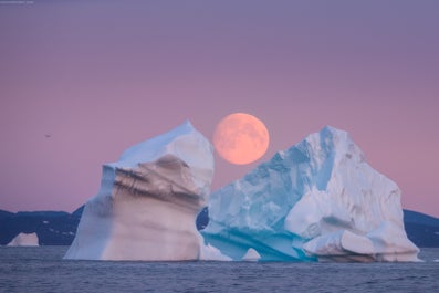 West Greenland Photo Workshop: Capturing Disko Bay’s Wonders Aboard Schooner Elsi - day 8