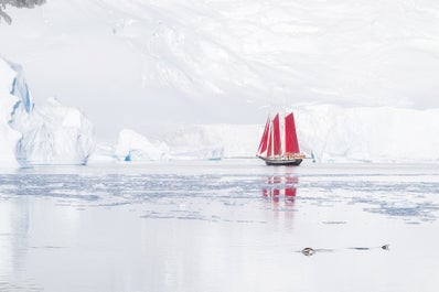 Red Sails in Antarctica Photography Expedition with Daniel Kordan - Fly/Fly tour - day 4