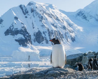 Red Sails in Antarctica Photography Expedition with Daniel Kordan - Fly/Fly tour - day 5