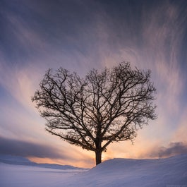 8 Day Hokkaido Photography Tour in Japan - day 9