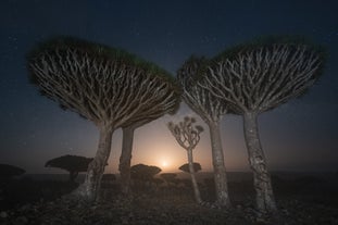 Milky Way Over Socotra: A Desert and Night Sky Photography Expedition