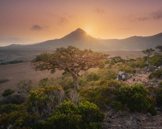Milky Way Over Socotra: A Desert and Night Sky Photography Expedition