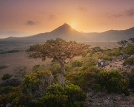 Milky Way Over Socotra: A Desert and Night Sky Photography Expedition