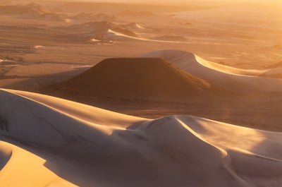 Shrubs manage to survive in the dry landscapes of Puna de Atacama.