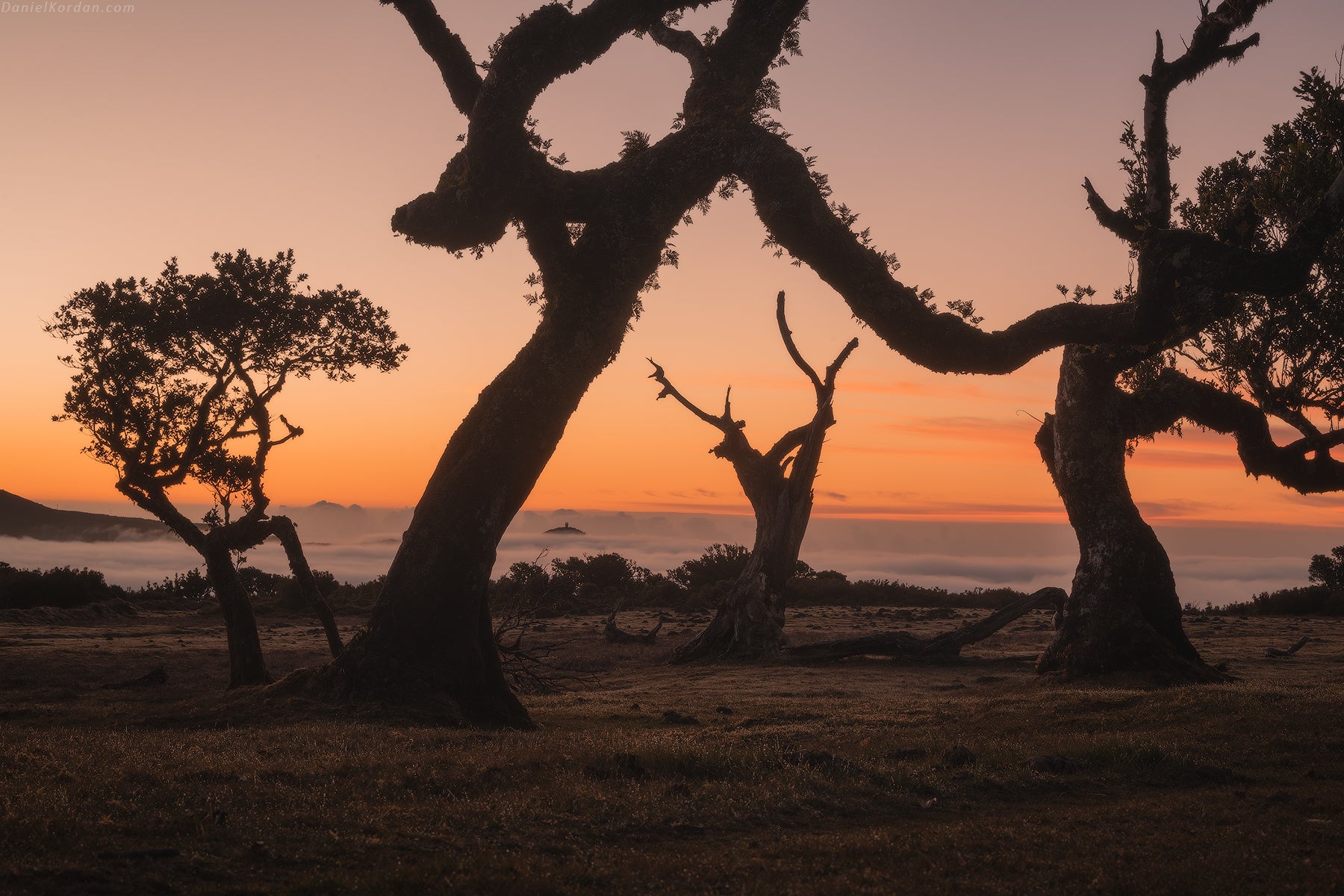 Madeira Photo Workshop: Discover the Island of Eternal Spring - day 6