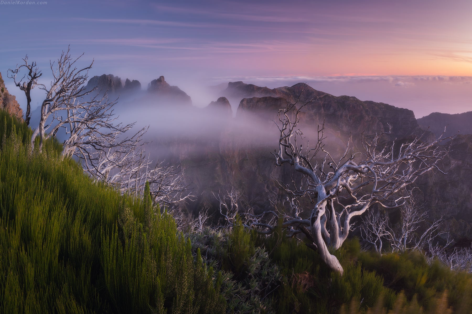 Madeira Photo Workshop: Discover the Island of Eternal Spring