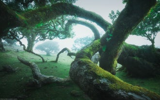 Madeira Photo Workshop: Discover the Island of Eternal Spring