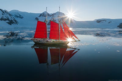 Red Sails in Antarctica Photography Expedition with Raymond Hoffmann - Fly/Fly tour - day 7