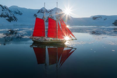Red Sails in Antarctica Photography Tour with Raymond Hoffmann - Fly/Fly tour - January 16-28, 2027 - day 7