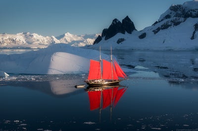 Red Sails in Antarctica Photography Tour with Raymond Hoffmann - Fly/Fly tour - January 16-28, 2027 - day 8