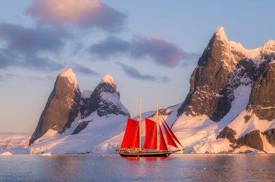 Red Sails in Antarctica Photography Tour with Raymond Hoffmann - Fly/Fly tour - January 16-28, 2027 - day 10