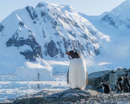 Red Sails in Antarctica Photography Tour with Raymond Hoffmann - Fly/Fly tour - January 16-28, 2027