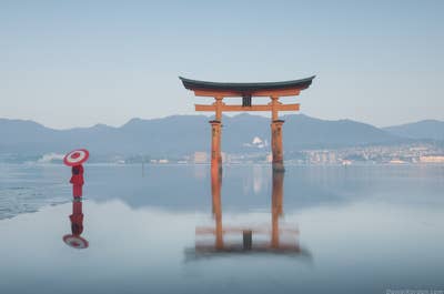 Japan in Bloom — Sakura Photography Tour - day 3