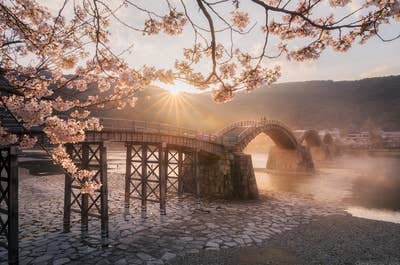 Japan in Bloom — Sakura Photography Tour - day 5