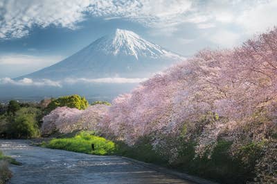 Japan in Bloom — Sakura Photography Tour - day 9