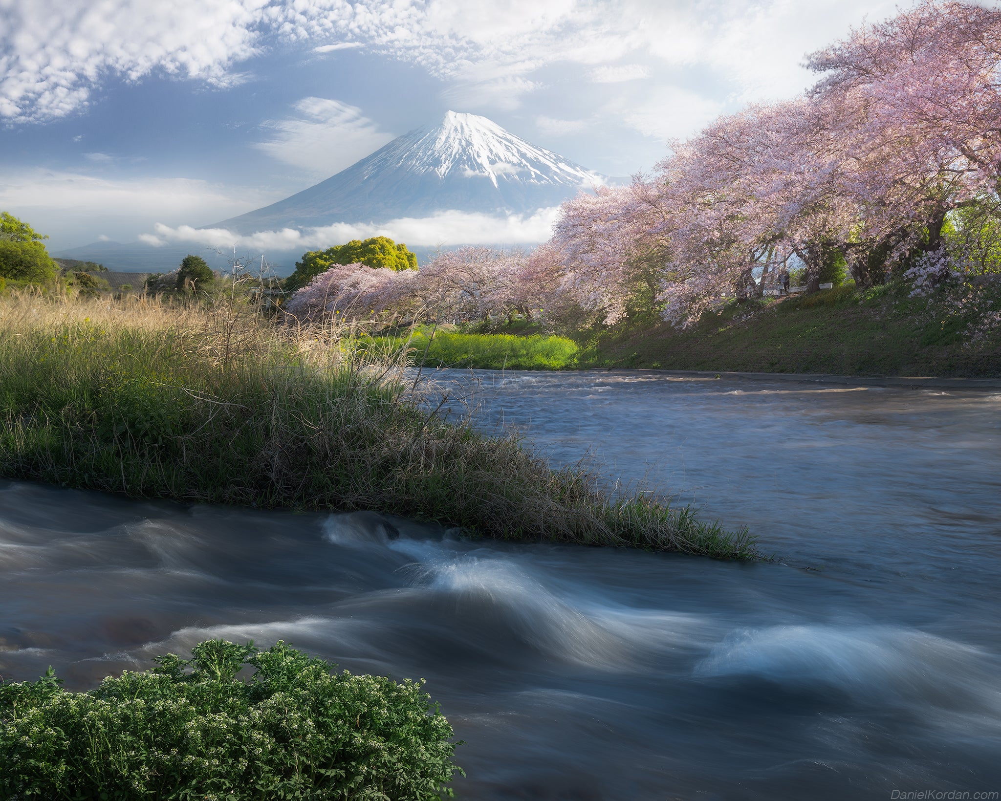 Japan in Bloom — Sakura Photography Tour
