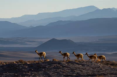 Puna de Atacama has beautiful, colorful valleys.