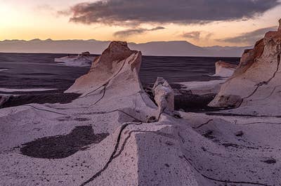 Shrubs manage to survive in the dry landscapes of Puna de Atacama.