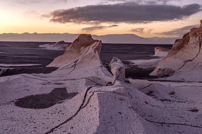 Shrubs manage to survive in the dry landscapes of Puna de Atacama.