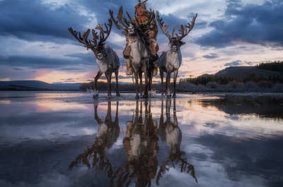 Mongolia’s Reindeer Herders and Northern Wilderness Photography Expedition - day 8