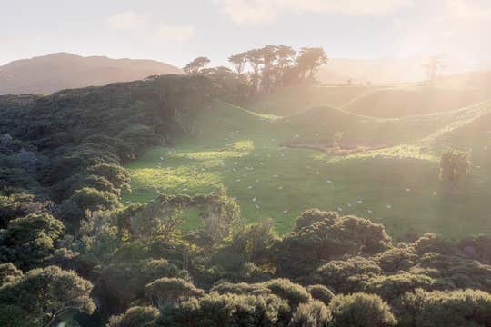 New Zealand Winter Photo Workshop